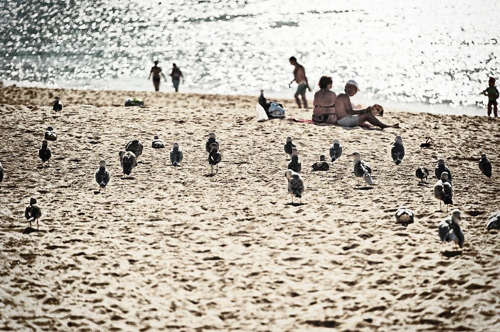 Rosamar Apartamentos Armacao de Pera Luaran gambar